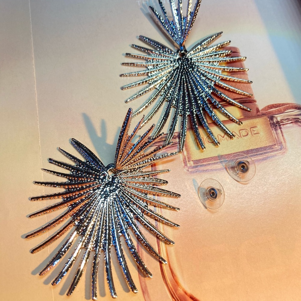 🌟 Big Silver Earrings - Picture 3 of 4